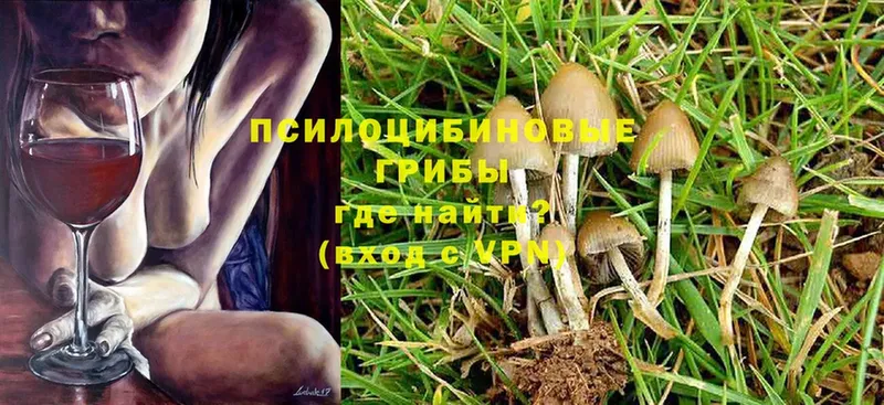 Галлюциногенные грибы Psilocybine cubensis  blacksprut маркетплейс  Рыльск 